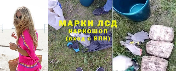 мдпв Новозыбков